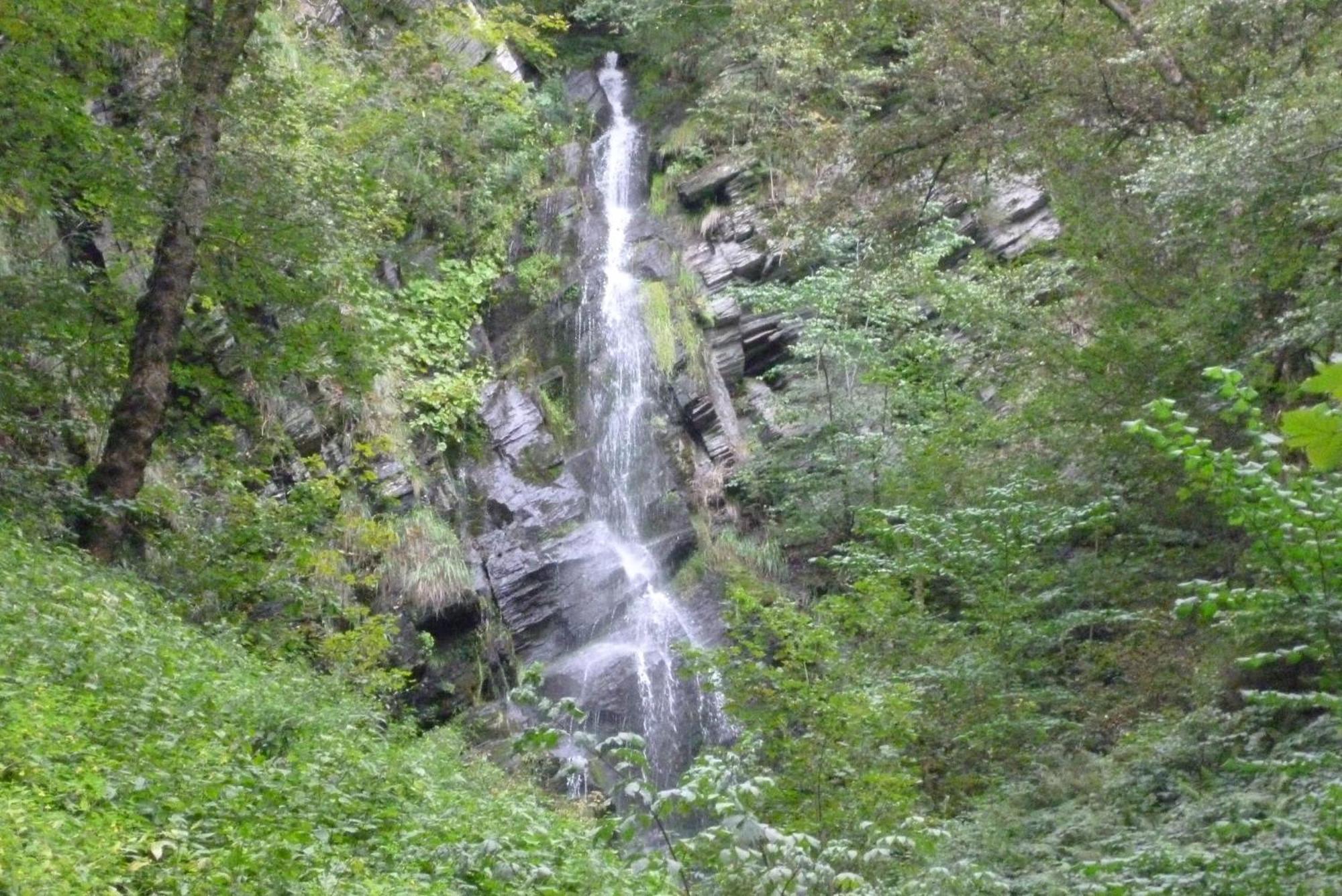 Ferienhaus Wasserfall Bestwig Eksteriør bilde